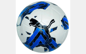 Ballon Puma