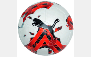 Ballon Puma