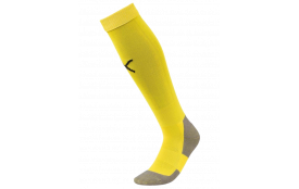 Chausettes gardiens Puma Liga