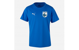 Maillot Puma Matchday TeamRise